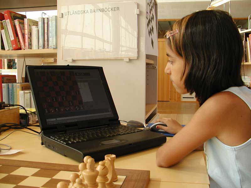 schackpainternet.jpg
