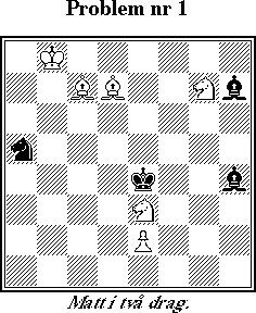 Probleml&ouml;snings-SM 1998