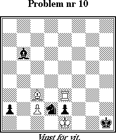 Probleml&ouml;snings-SM 1998