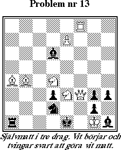 Probleml&ouml;snings-SM 1998