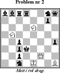 Probleml&ouml;snings-SM 1998