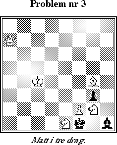 Probleml&ouml;snings-SM 1998