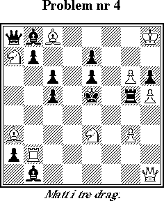 Probleml&ouml;snings-SM 1998