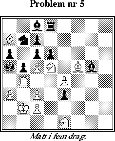Probleml&ouml;snings-SM 1998