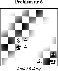 Probleml&ouml;snings-SM 1998