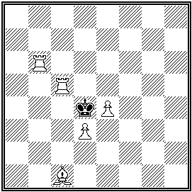 Forslund - problemschack