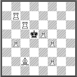 Forslund - problemschack