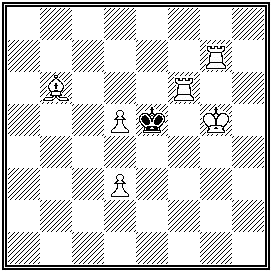 Forslund - problemschack