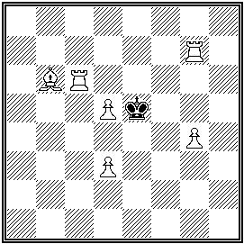 Forslund - problemschack